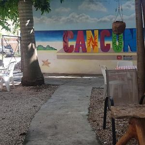 Balagan Planta Alta